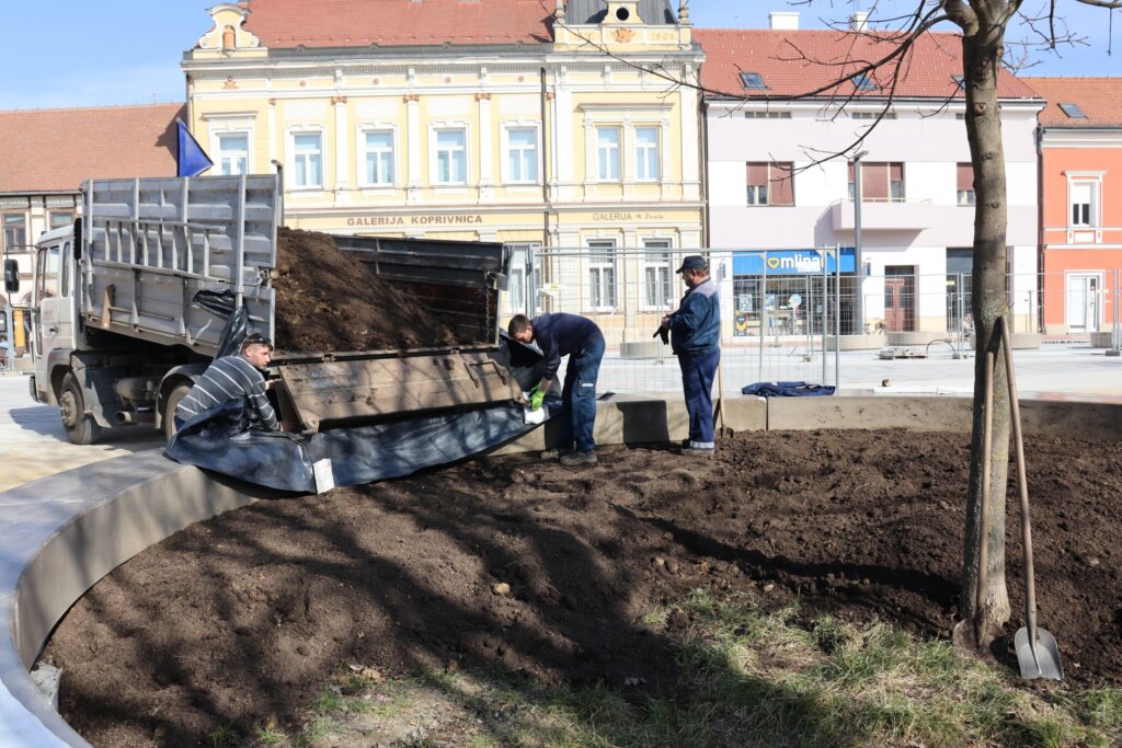 trg koprivnica biljke (4)