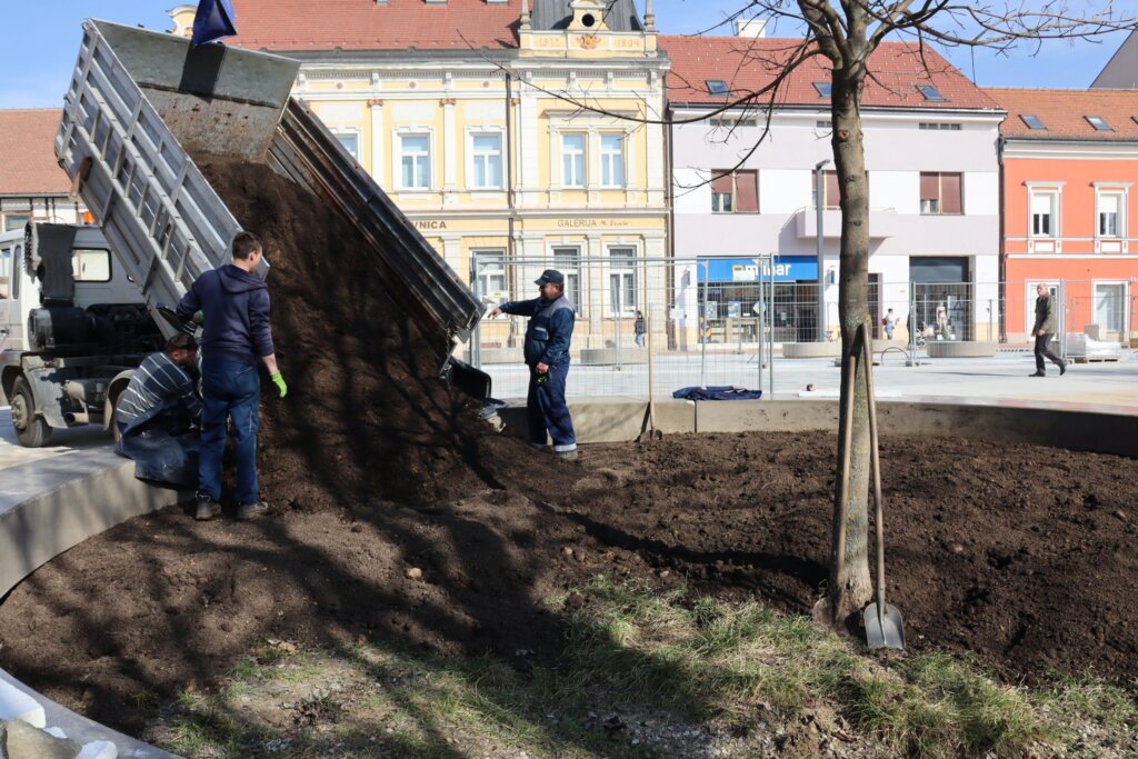 trg koprivnica biljke (5)