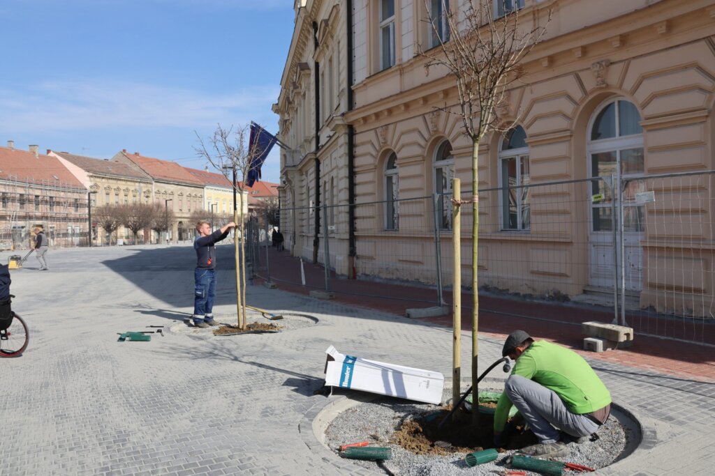 trg koprivnica biljke (7)