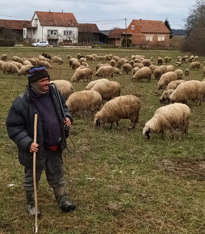 336090640_606385468071924_176769915042660895_n