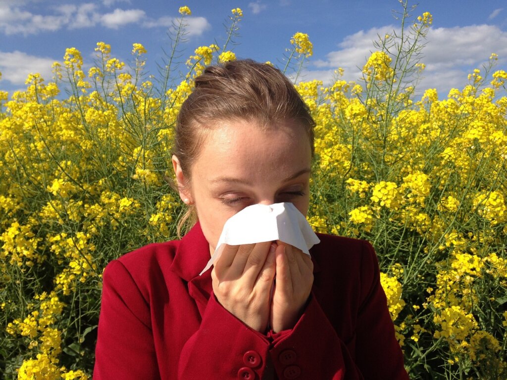 Sa zagrijavanjem planeta sezona alergija sve je dulja
