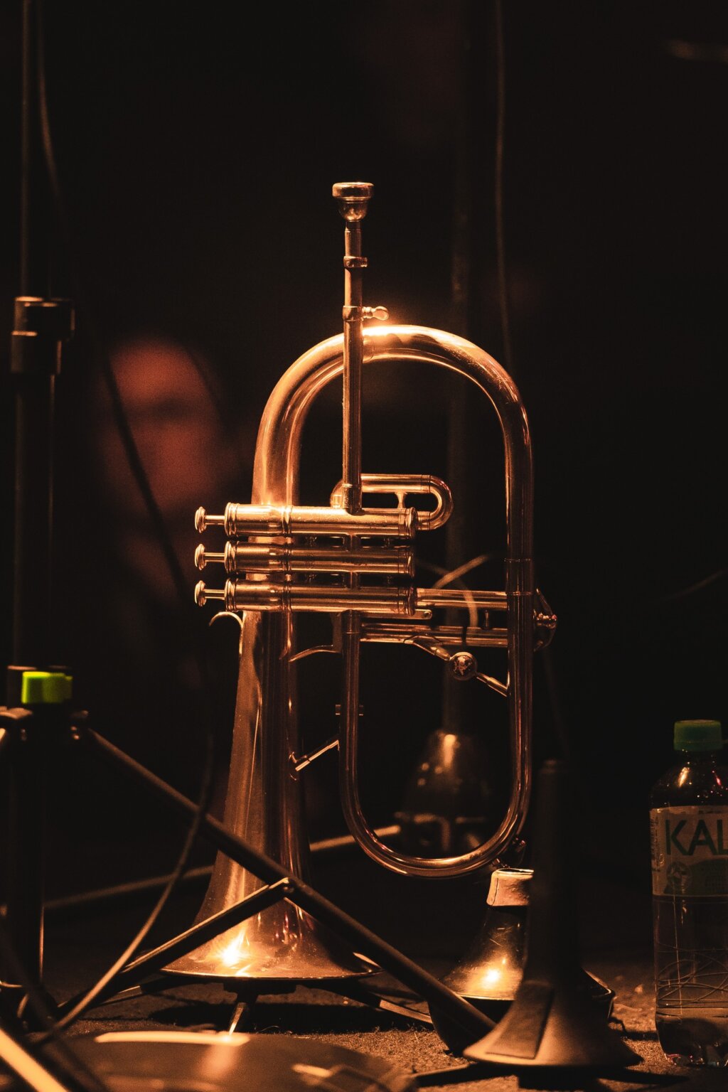 342865209_3404327816380131_772549267821944340_n