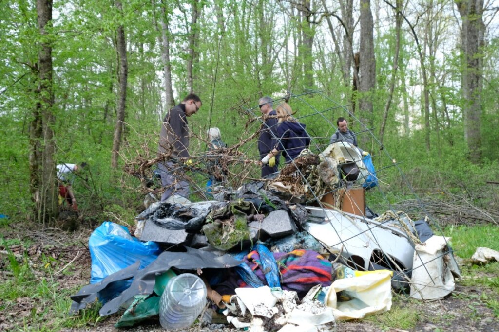 Akcija čišćenja Žutice (2)