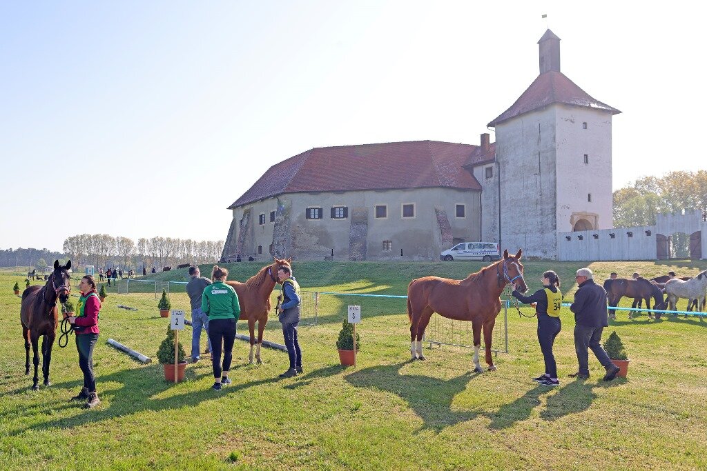 đurđevac đurđevo (1)