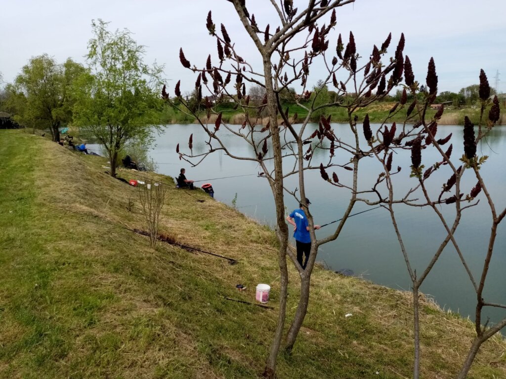 natjecanje fiš kž (6)