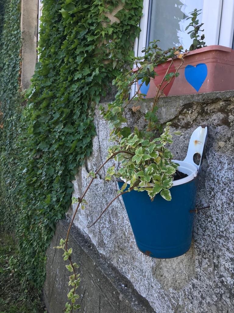 škola Osijek Vojakovacki (10)