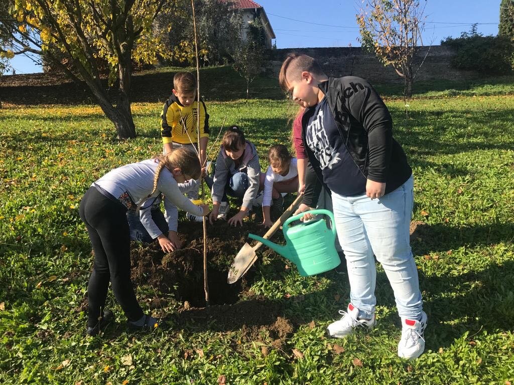 škola Osijek Vojakovacki (14)