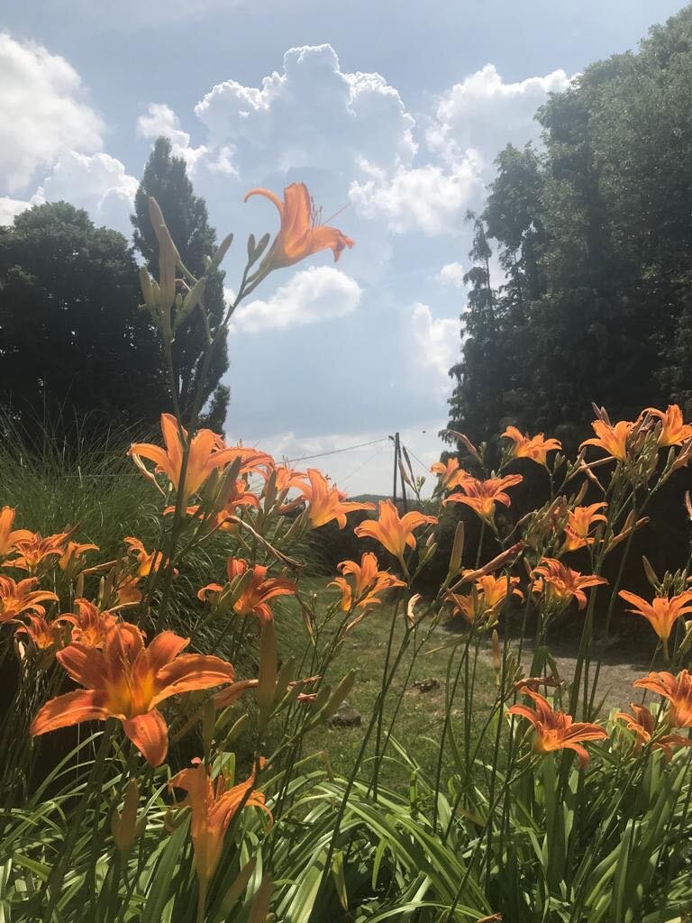 škola Osijek Vojakovacki (15)