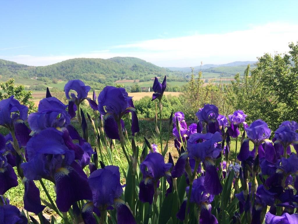 škola Osijek Vojakovacki (16)