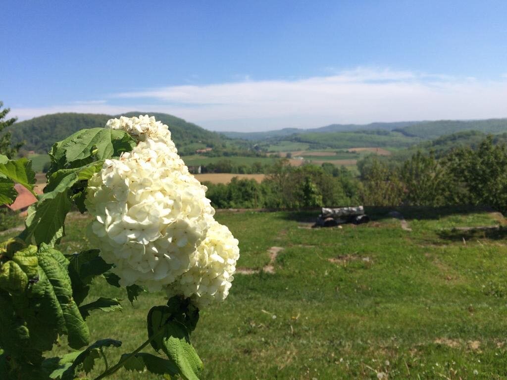 škola Osijek Vojakovacki (17)