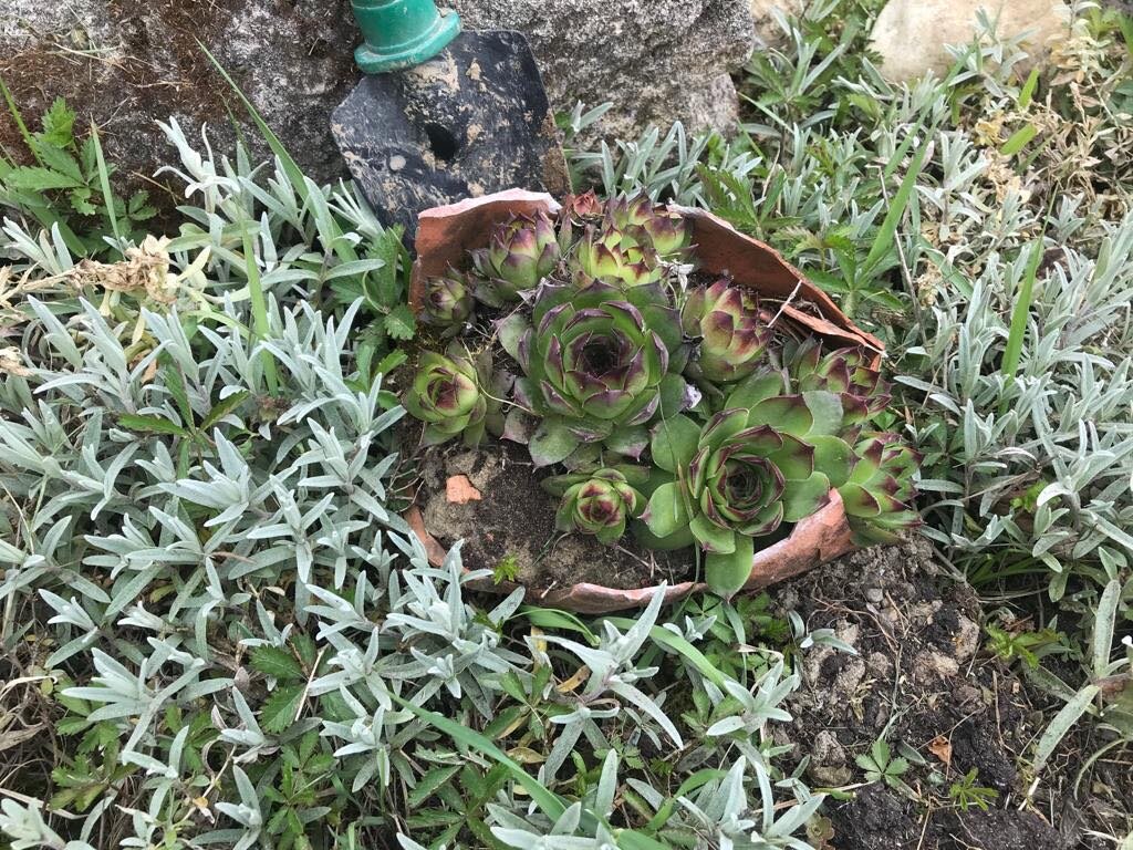 škola Osijek Vojakovacki (20)