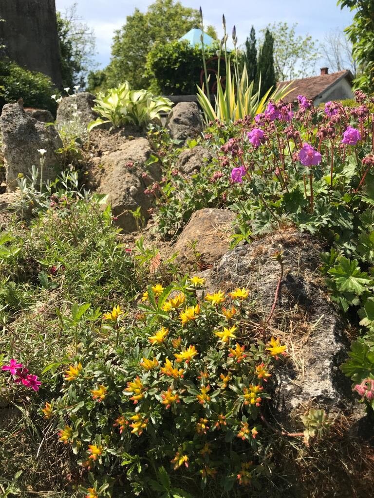 škola Osijek Vojakovacki (22)