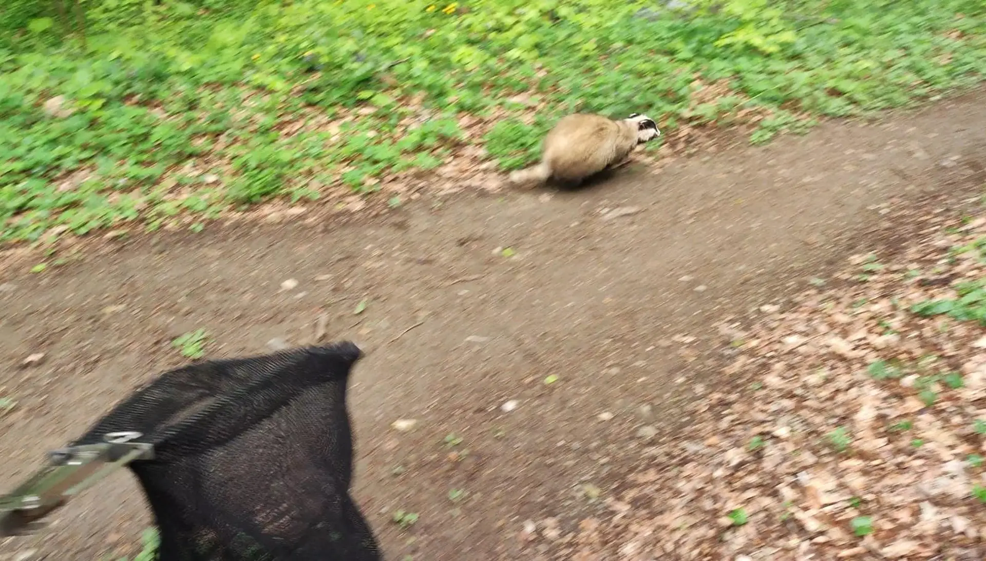 whatsapp-image-2023-04-21-at-14-34-51