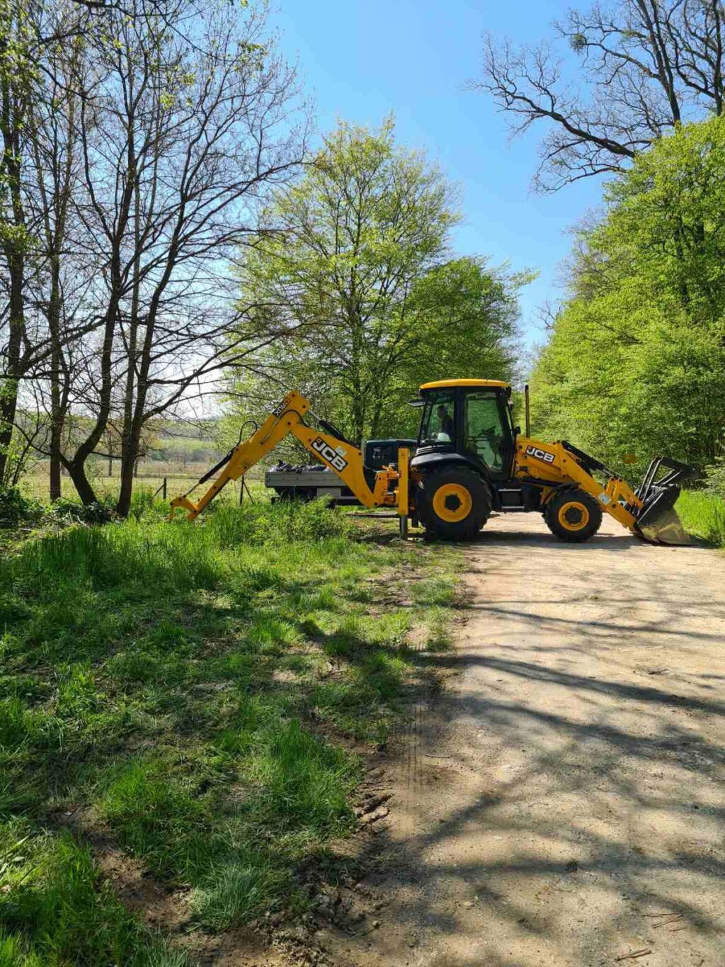 žabno čišćenje (11)