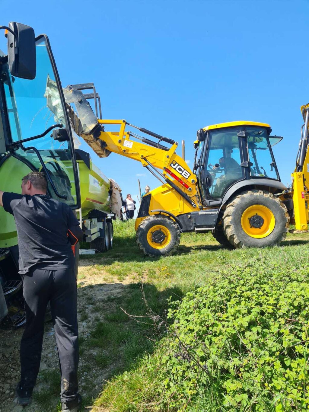 žabno čišćenje (12)