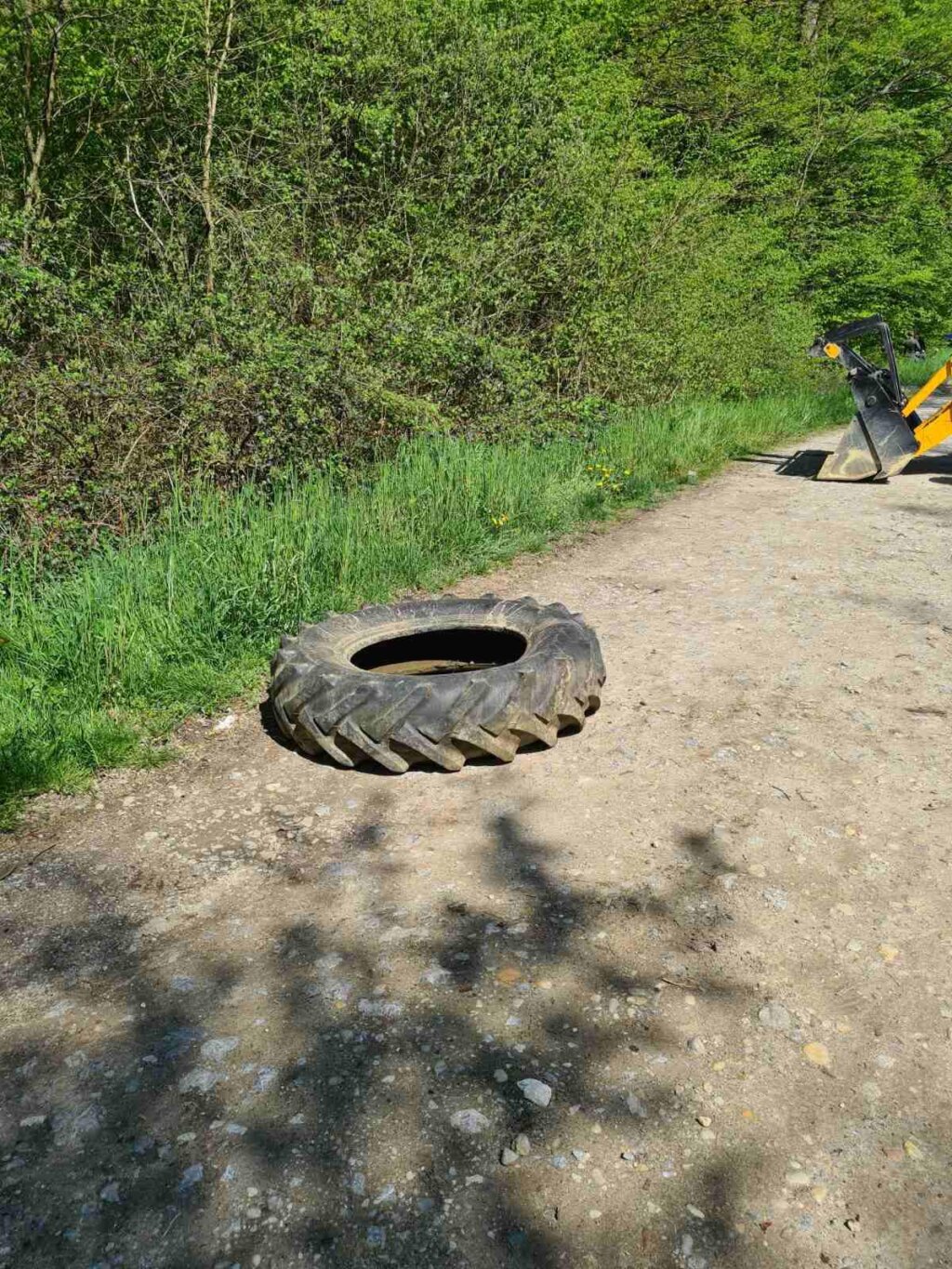 žabno čišćenje (3)