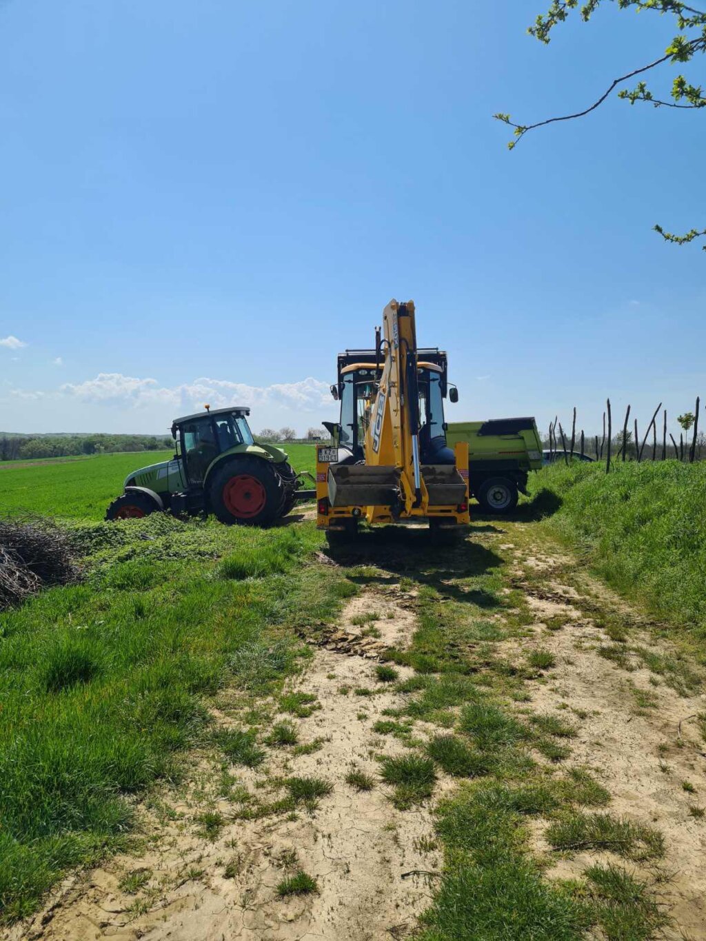 žabno čišćenje (5)