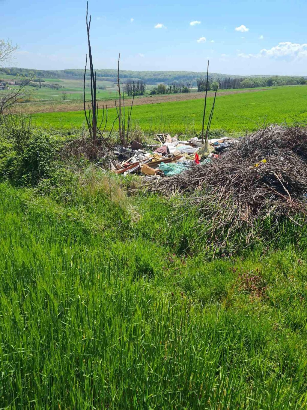 žabno čišćenje (7)