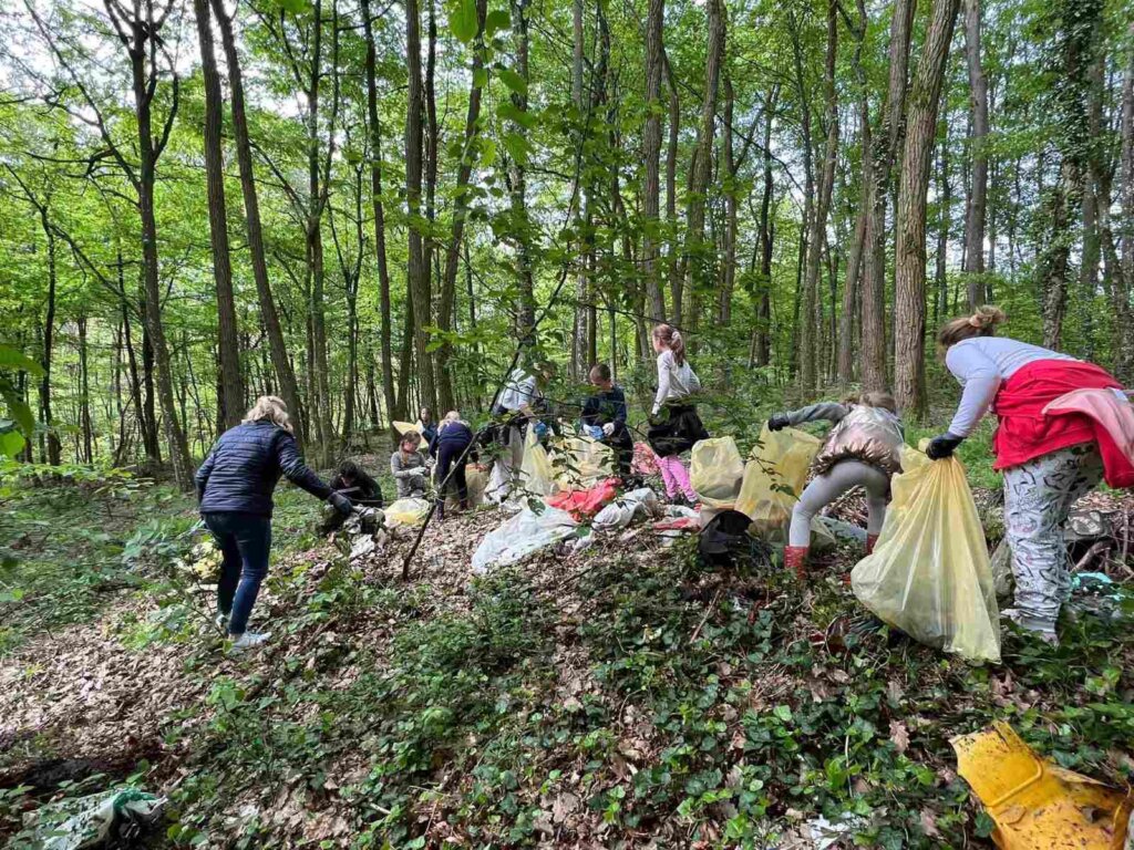 zelena čistka vrbovec (2)