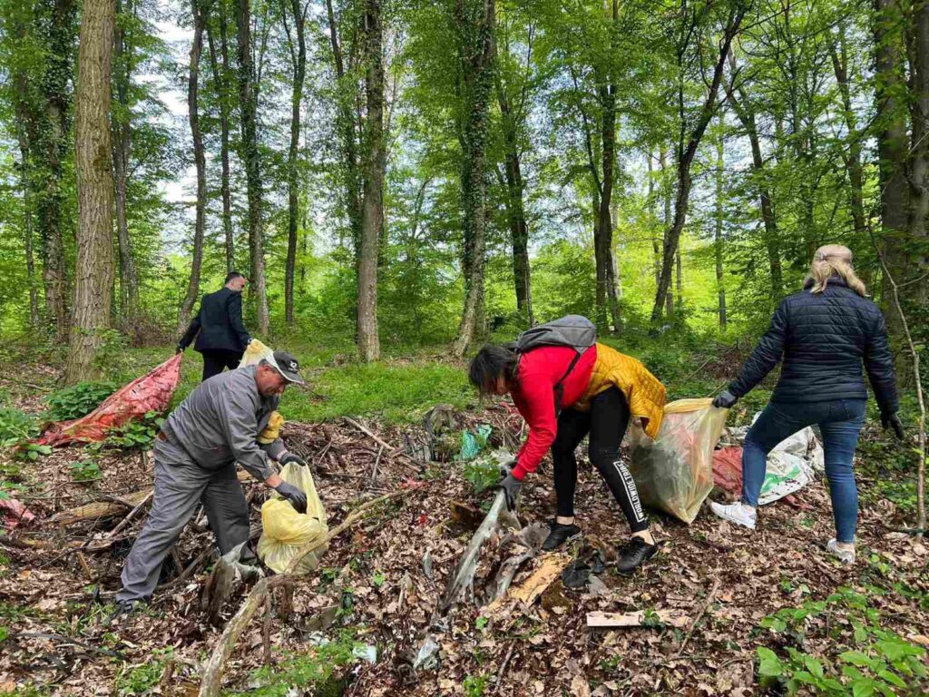 zelena čistka vrbovec (5)