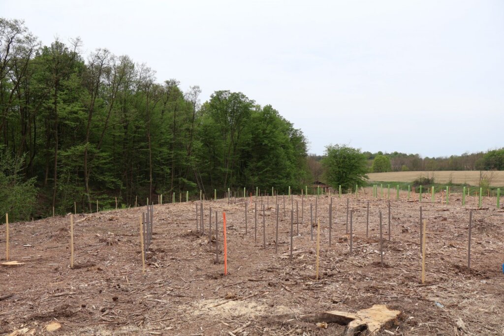 343729677_614075000738841_5071871333392450489_n-1536x1024