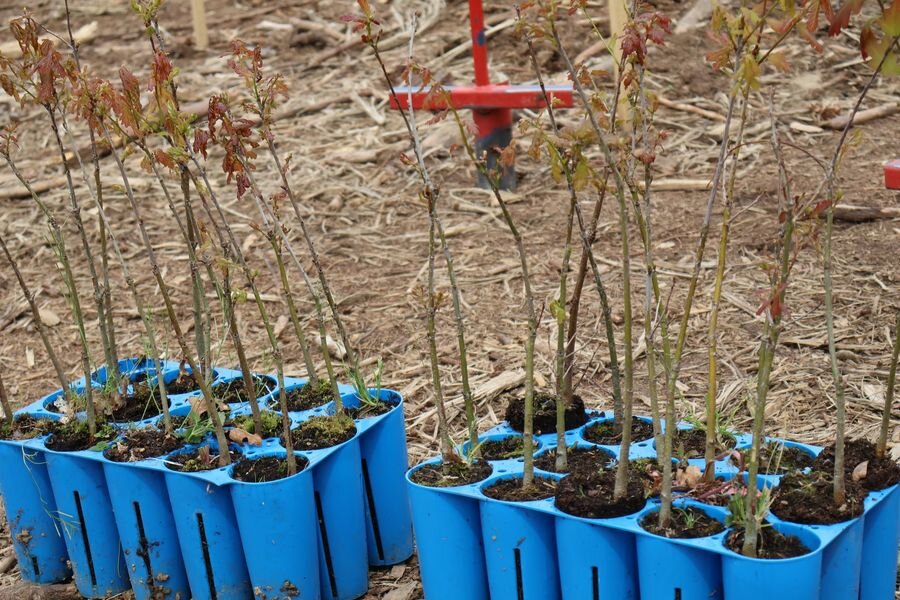 343759294_793214078604146_4086227806073348198_n