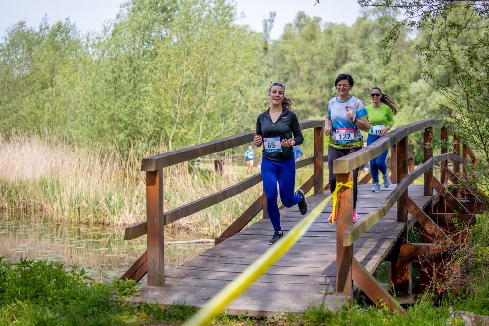 344236229_1725275284557417_5105035734183705977_n