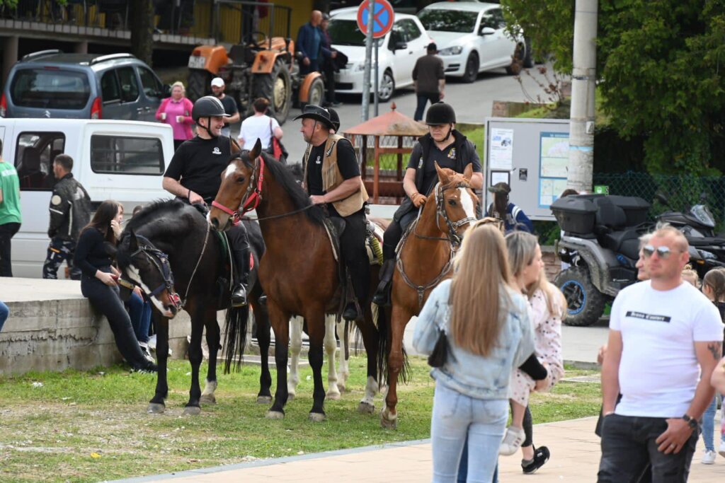 ivan zak kalnik (19)