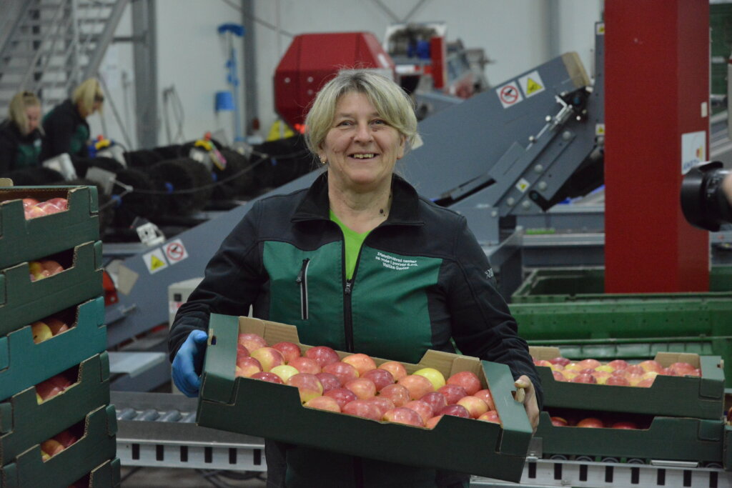 sunčana elektrana (1)