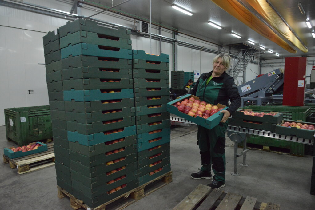 sunčana elektrana (10)