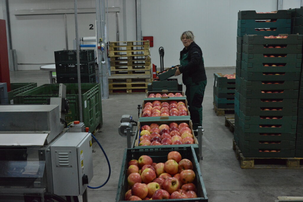 sunčana elektrana (13)