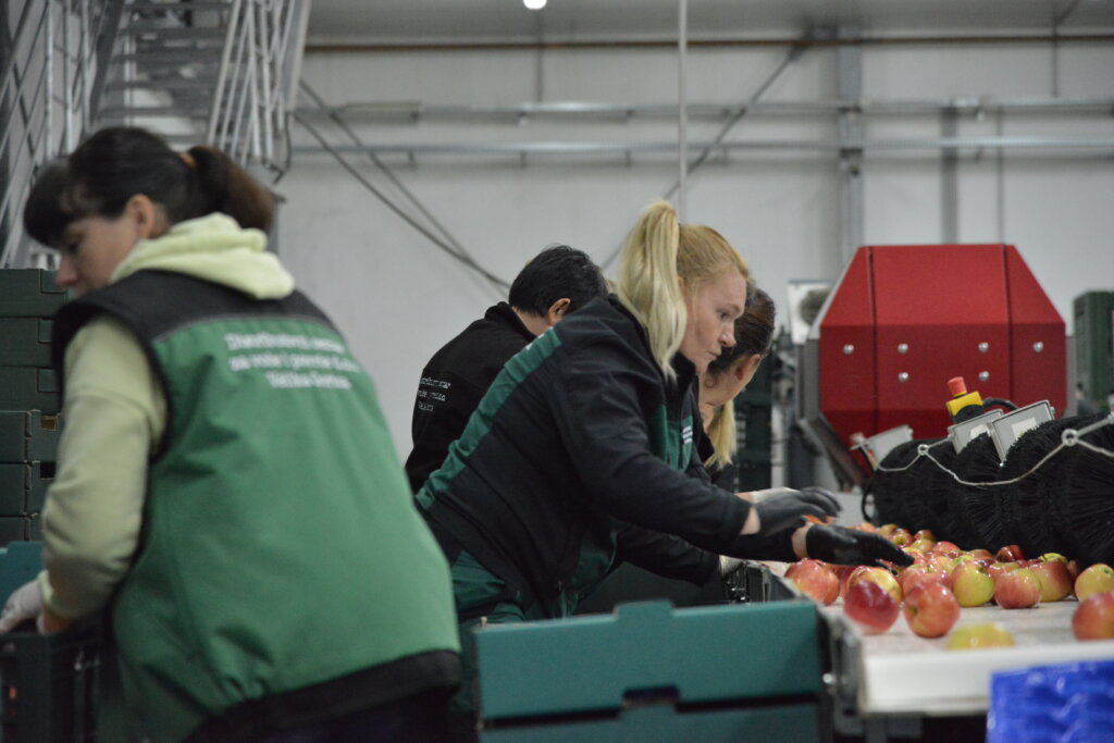 sunčana elektrana (19)