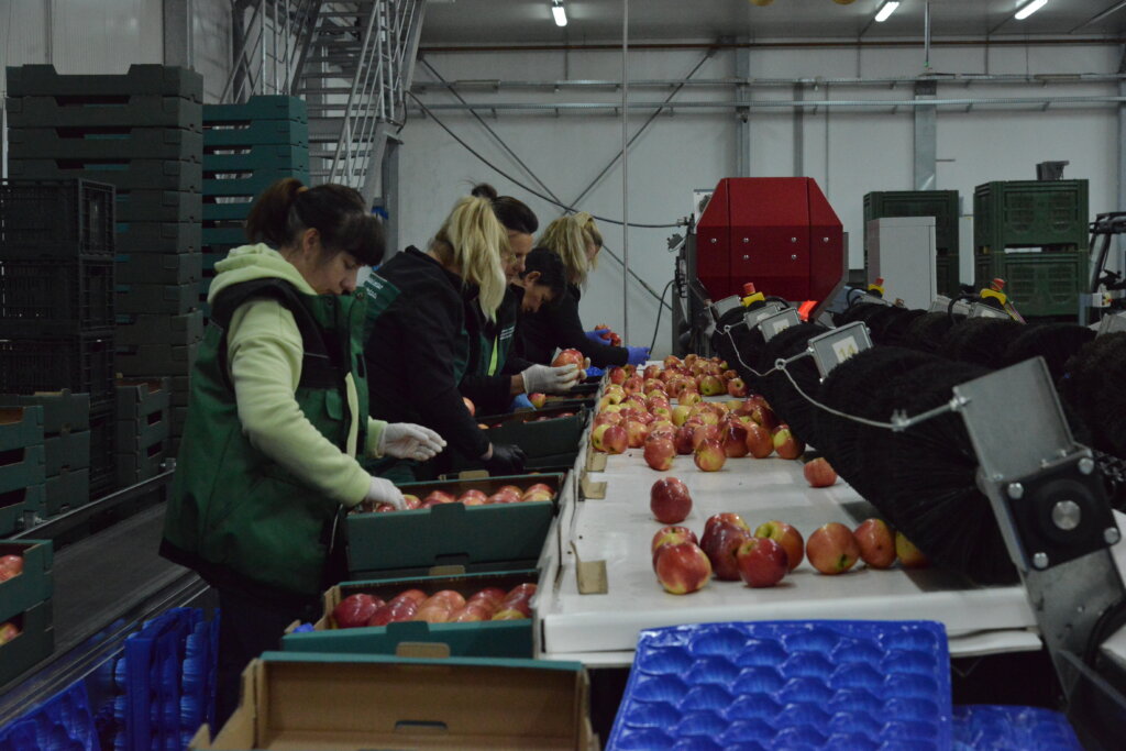 sunčana elektrana (3)