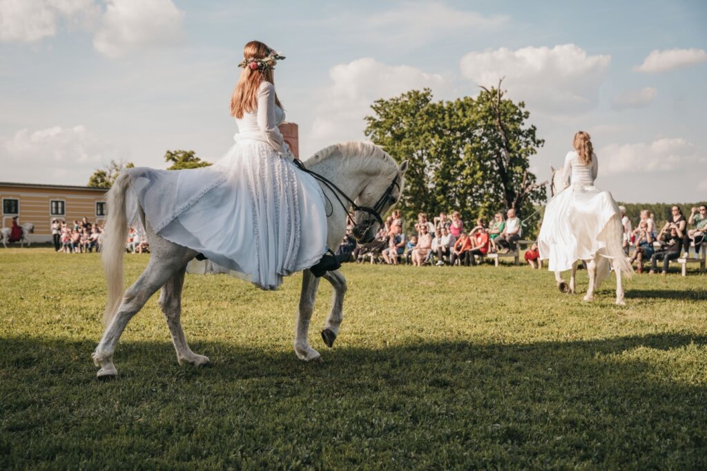 „Ples baroknih konja dvorca Eltz“ oduševio posjetitelje 5. festivala „SVI zaJEDNO HRVATSKO NAJ“