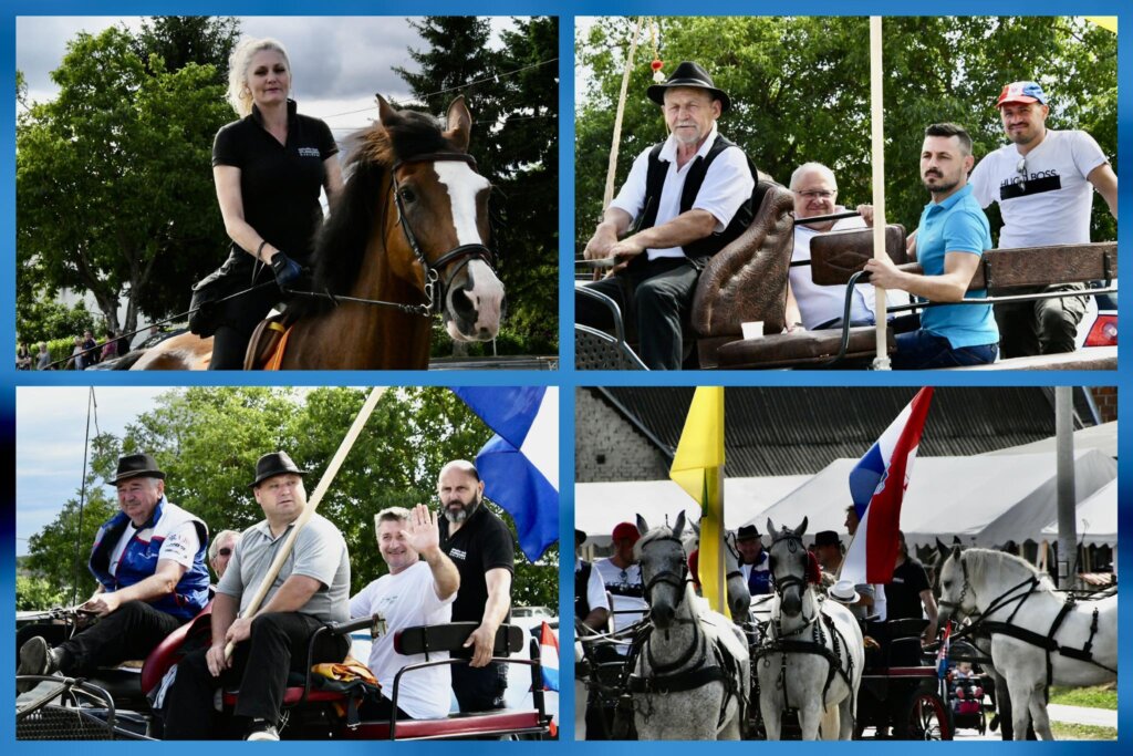 356342718 803746897726620 1546241558019199491 N