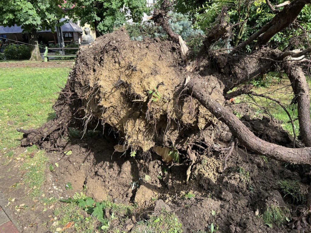 358705051_10159791230807842_4441708009311128706_n