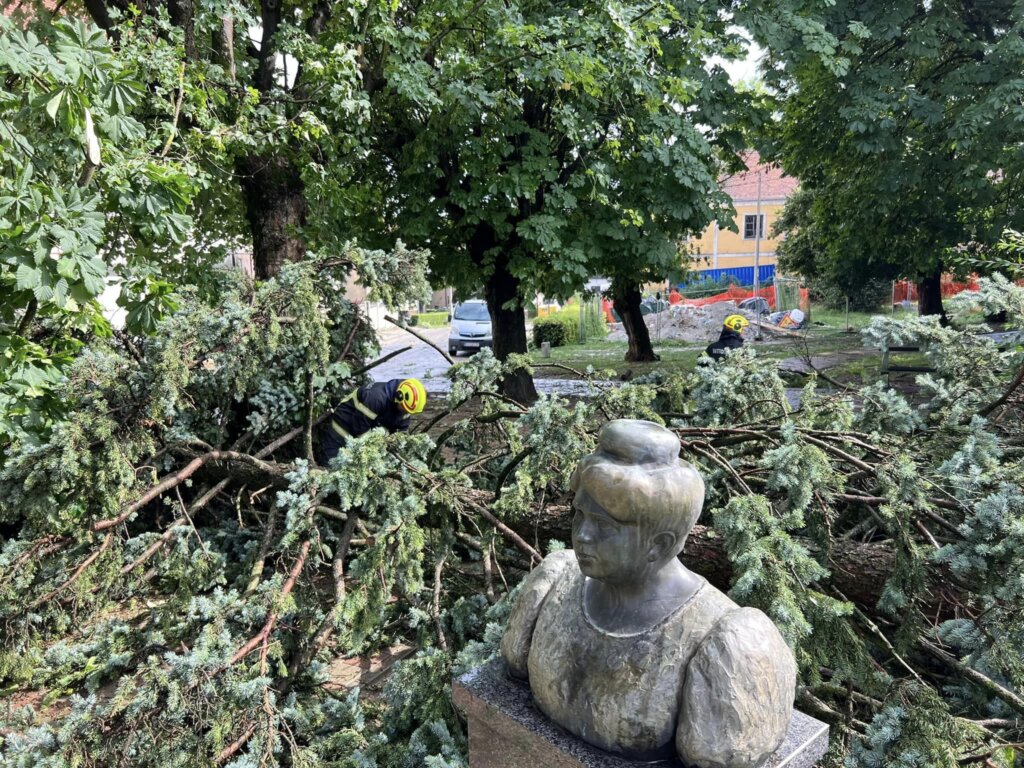 358711853_10159791230737842_8430721948104435800_n