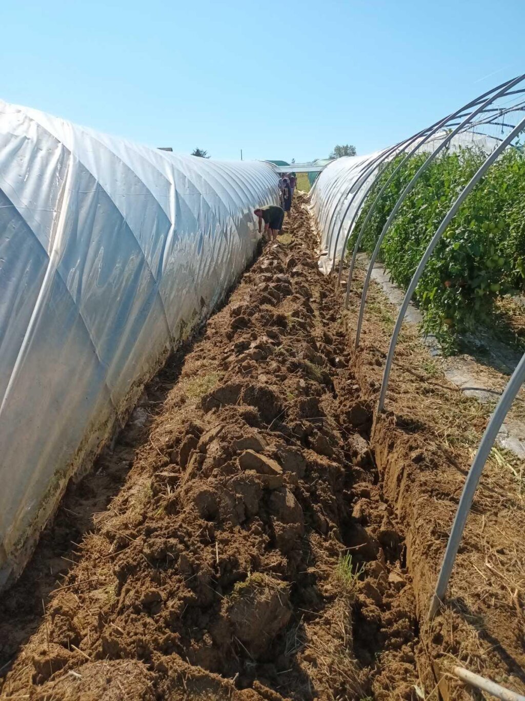 361159332_251476617641942_5731326227153866618_n