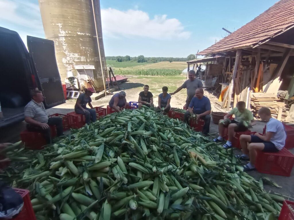 364193963_135197949625467_1474839543320183248_n