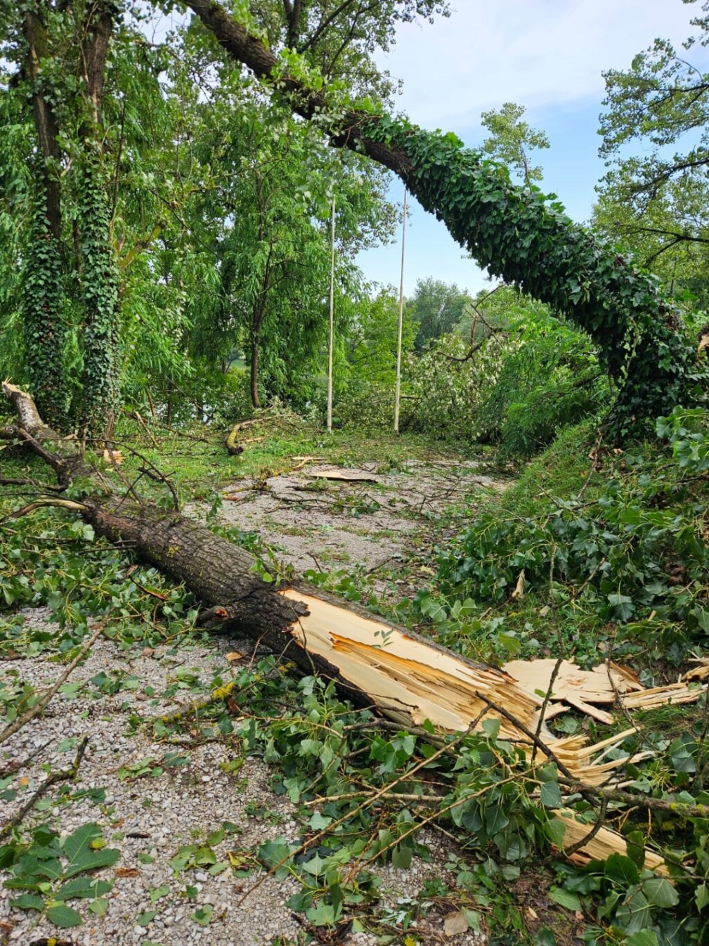 Ornitološki rezervat Sava-Strmec (3) (Large)