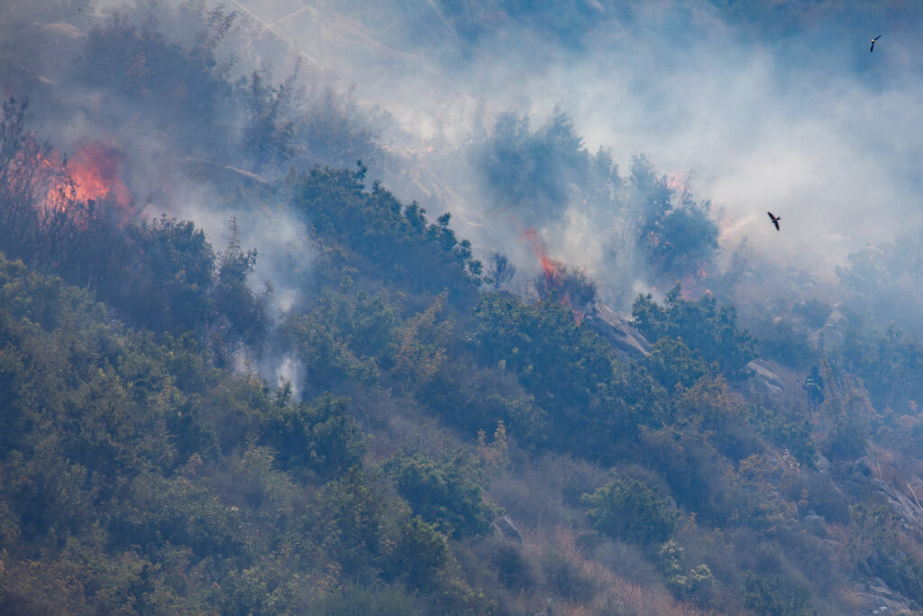Vatrogasci Se Bore S Požarom Koji Je Buknuo U Župi Dubrovačkoj