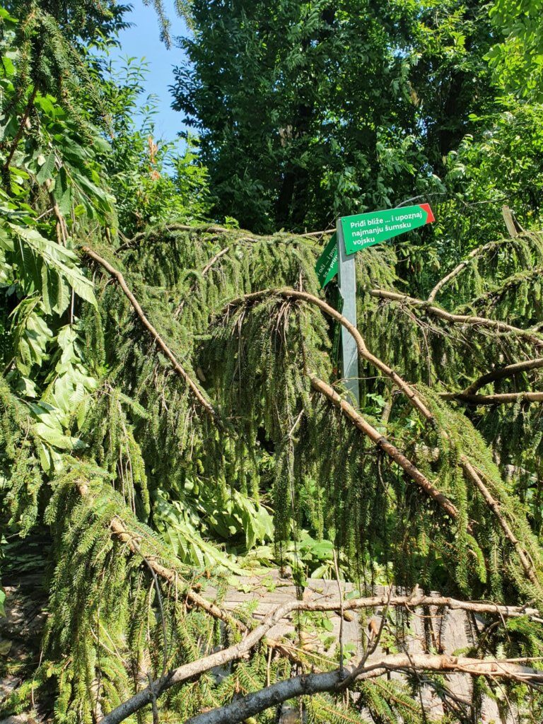Park šuma Stražnik (2) (Large)
