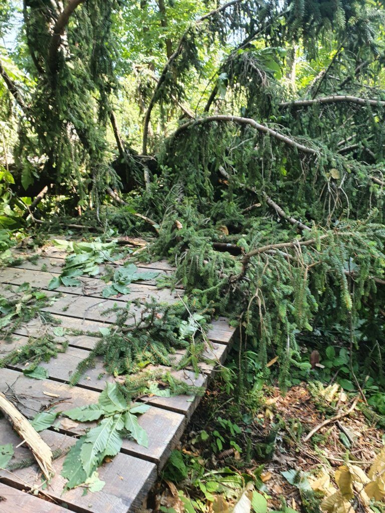 Park šuma Stražnik (Large)