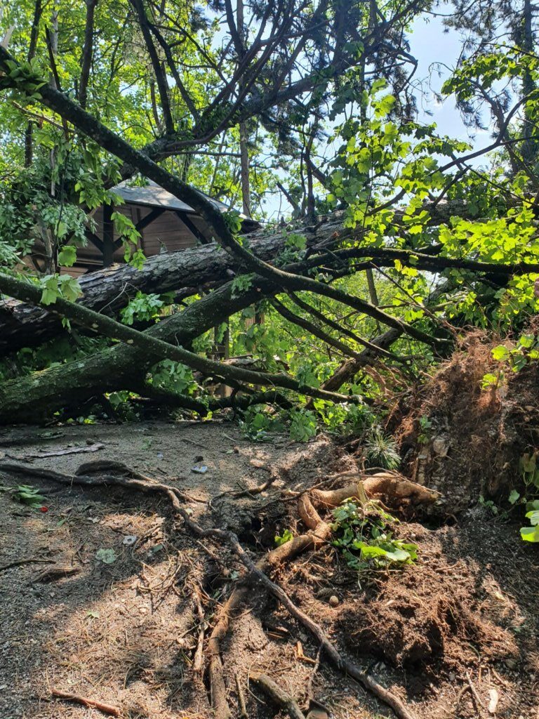 Park šuma Tepec- Palačnik (predio Anindola) (Large)