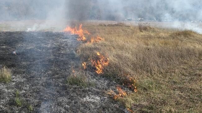 Priveden 24-godišnjak zbog namjernog izazivanja požara