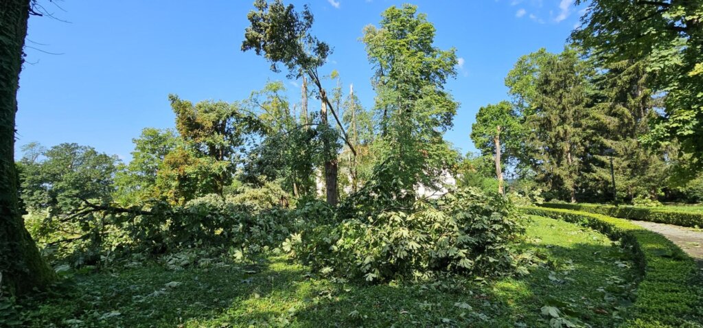 Spomenik parkovne arhitekture Park oko dvorca Lužnica 5 (Large)