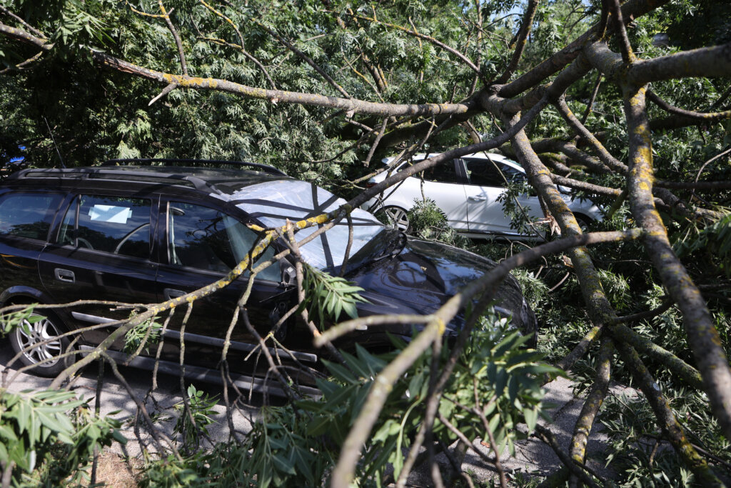 Zagreb:  Na Zelenom trgu stablo je palo na 4 automobila