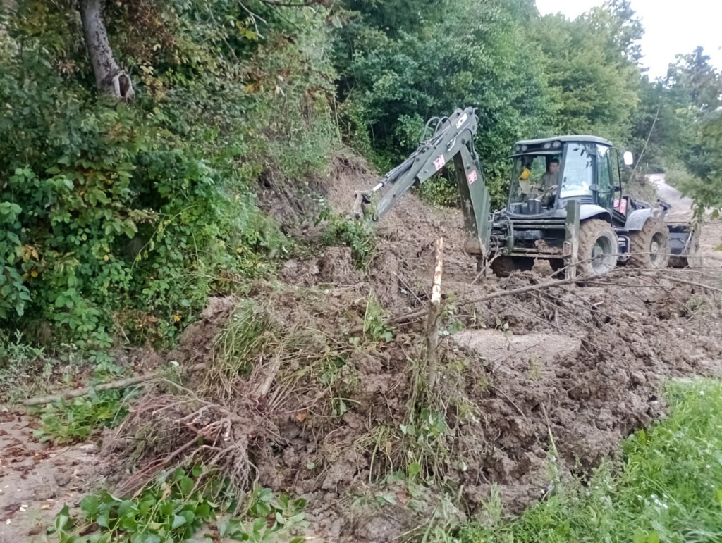 53147754806_139aa9213a_o