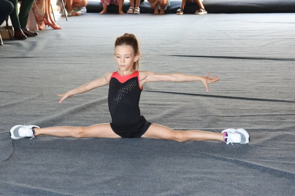 Dan-opcine-Pribislavec-26