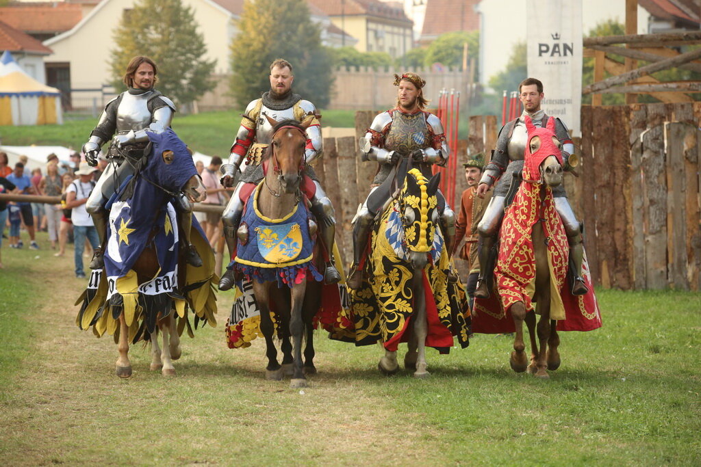 [FOTO/VIDEO] Renesansni festival donio spektakl sa sokolima i program s konjima